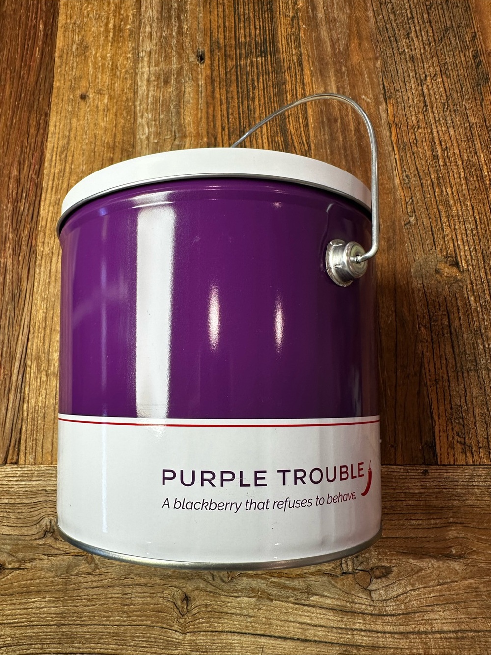 Purple Trouble Metal Storage Tin with Handle - Purple